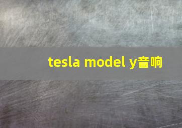 tesla model y音响